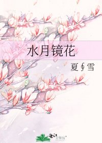 水月镜花